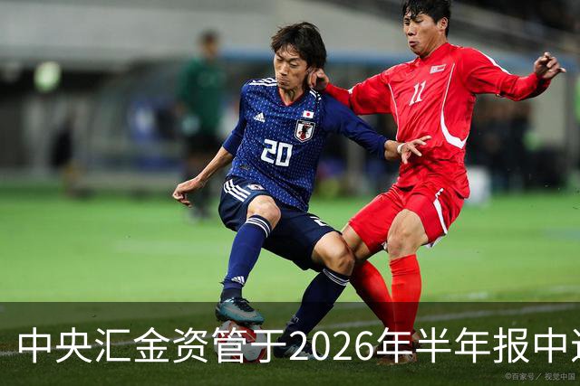中央汇金资管于2026年半年报中退出佛塑科技前十大股东